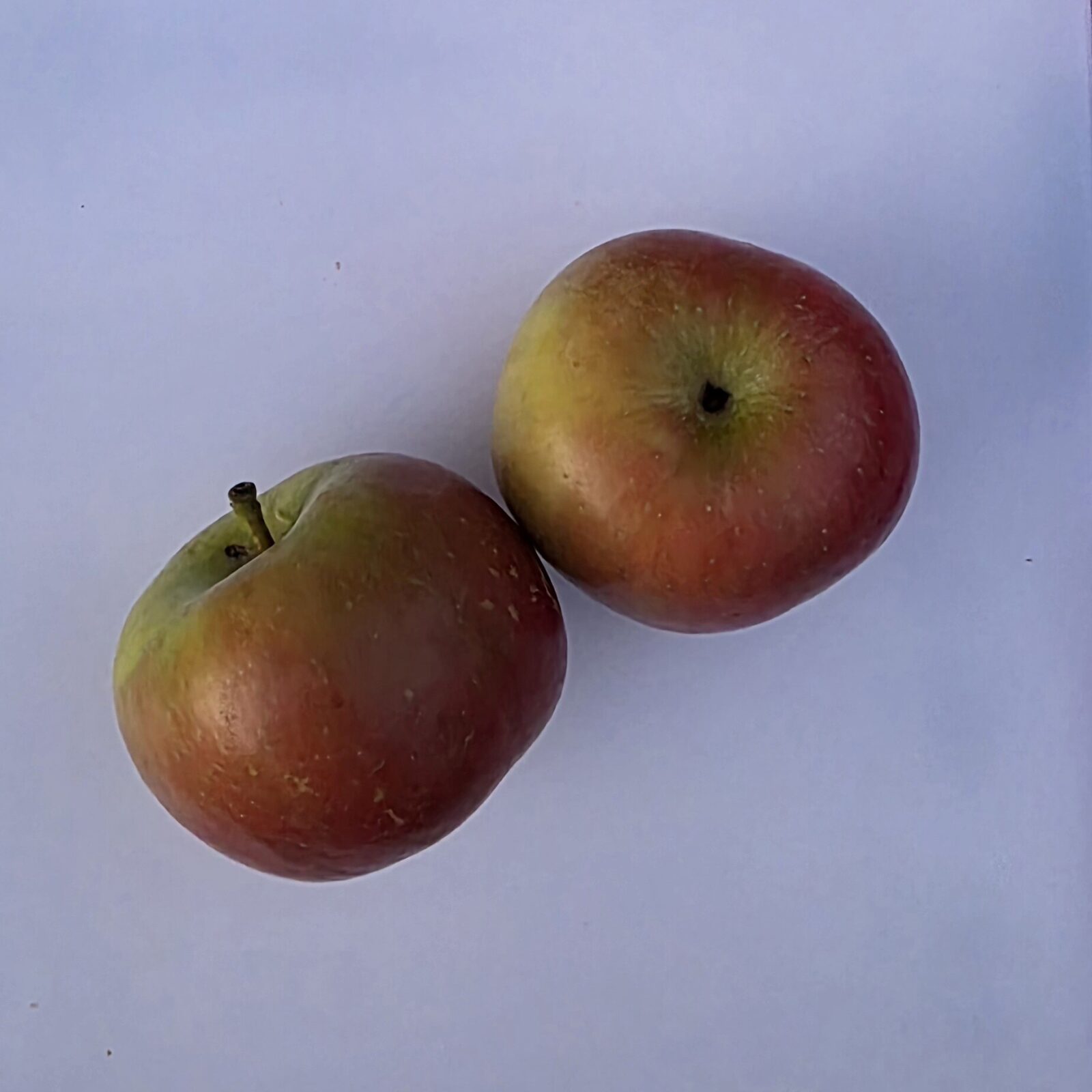 Delightfully Fresh Organics Certified Organic Apples - Fuji