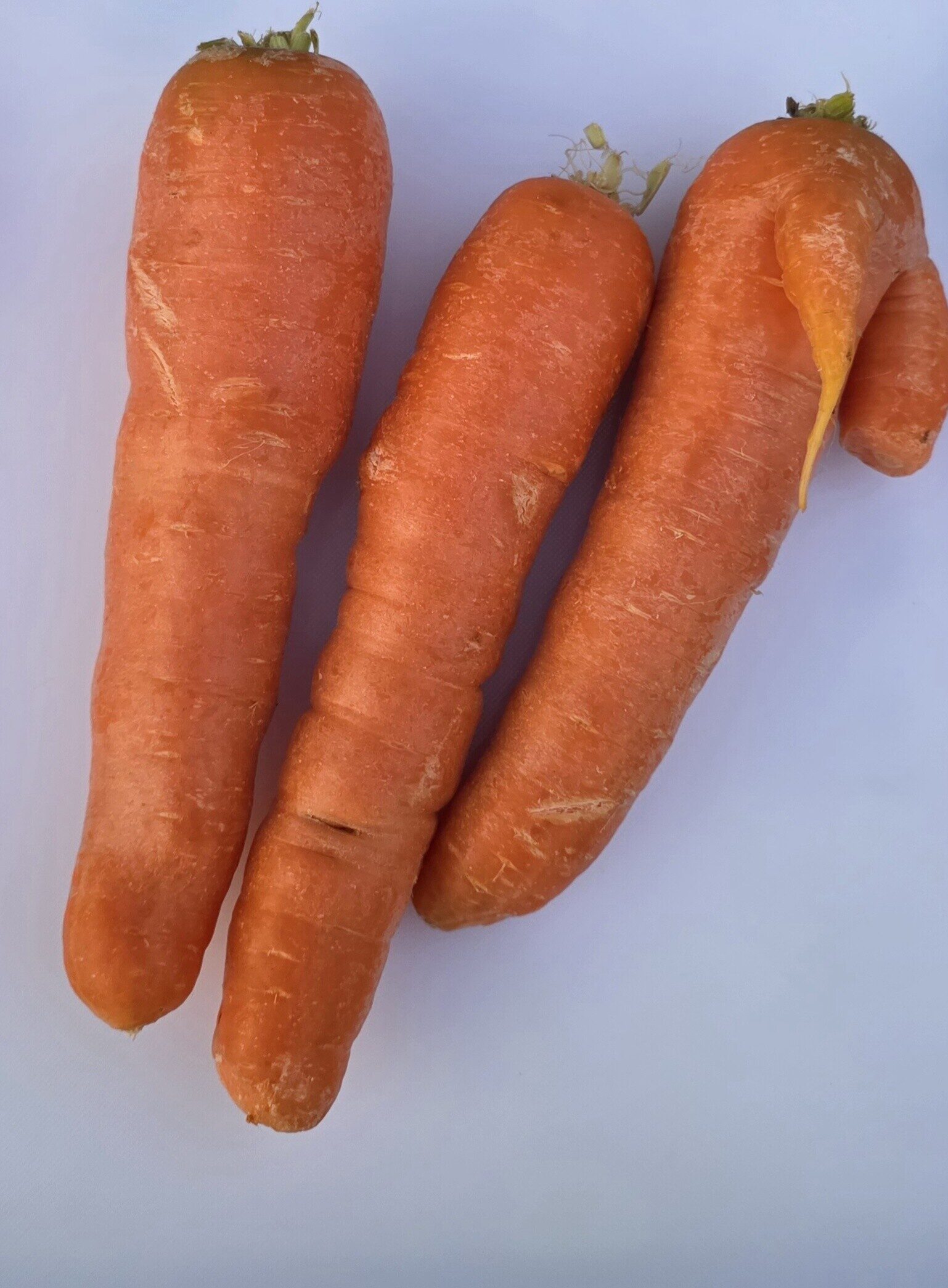 Delightfully Fresh Organics Certified Organic Carrot - Juicing