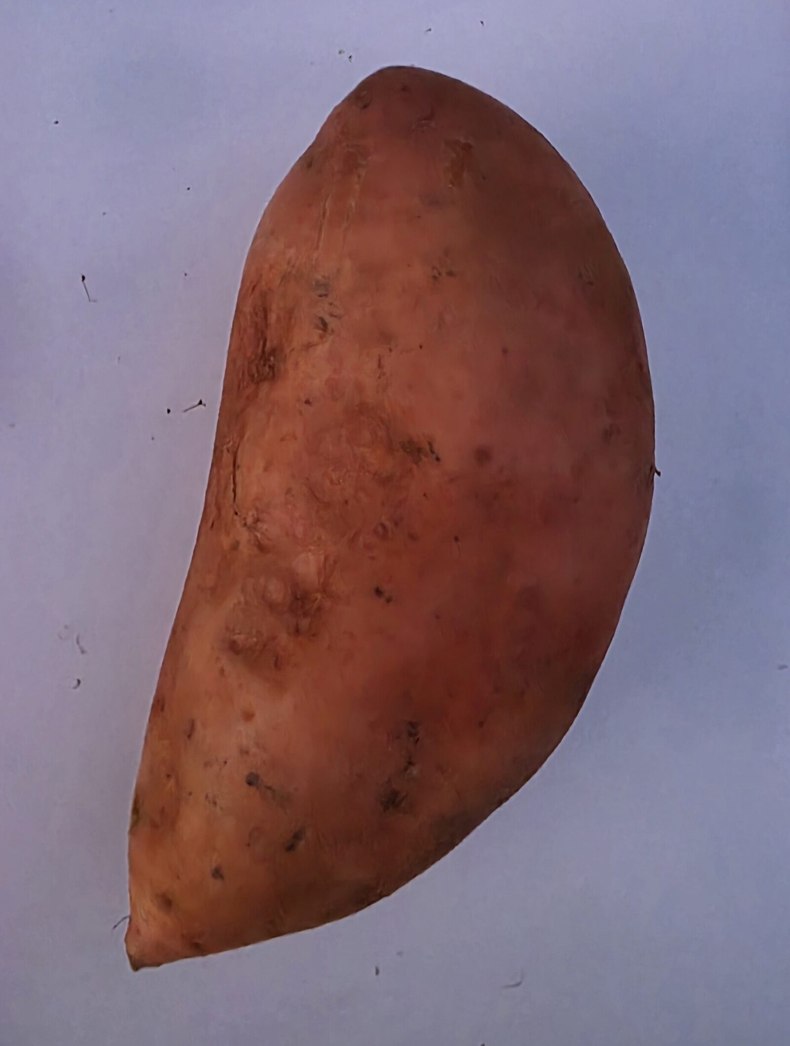 Delightfully Fresh Organics Certified Organic Sweet Potato - Gold 1kg