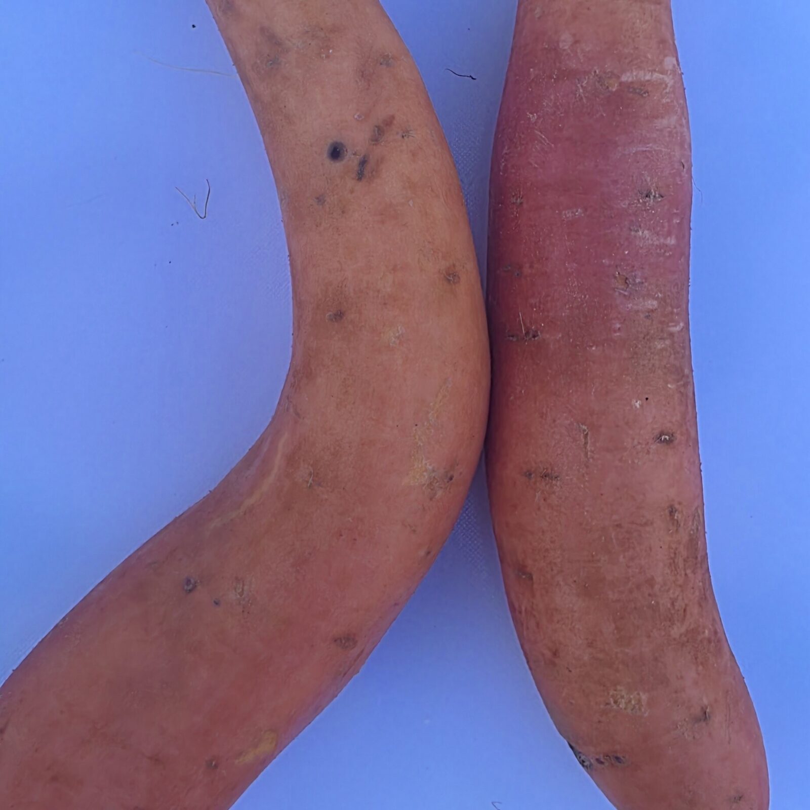 Delightfully Fresh Organics Certified Organic Sweet Potato - Gold 1kg, view 2 of 2