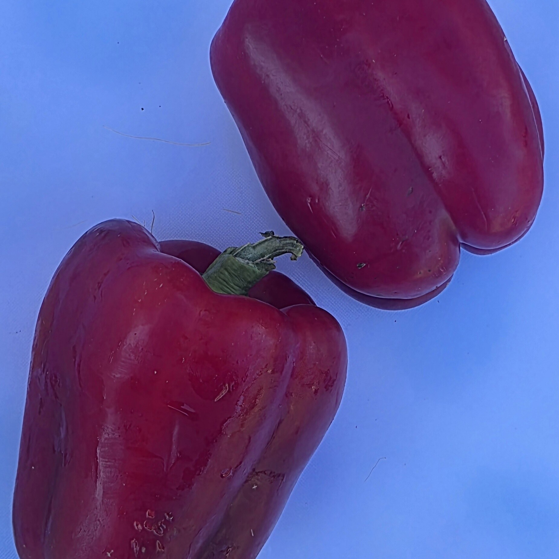 Certified Organic Capsicum - Red Product Image 